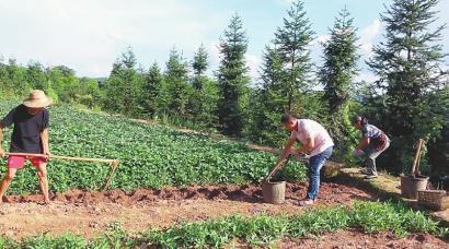 农民网红爆料视频大全最新,揭秘农村生活新视角  第2张